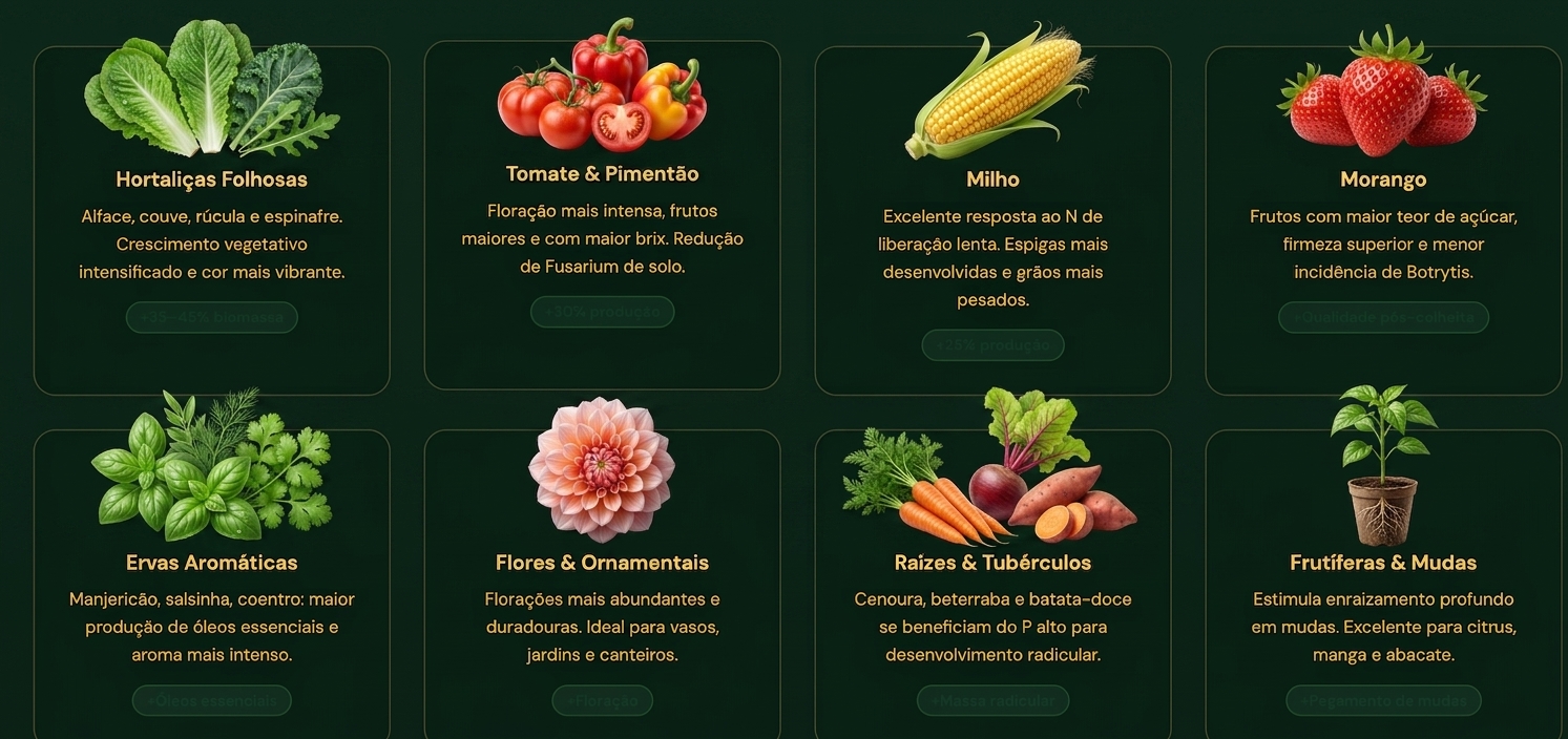 Painel com culturas que mais se beneficiam do Frass BSF: hortaliças folhosas, tomate e pimentão, milho, morango, ervas aromáticas, flores, raízes e frutíferas.
